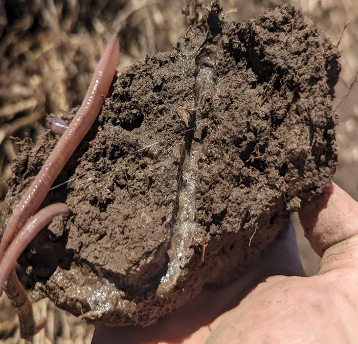 Natural-Tillage-Tool.jpg