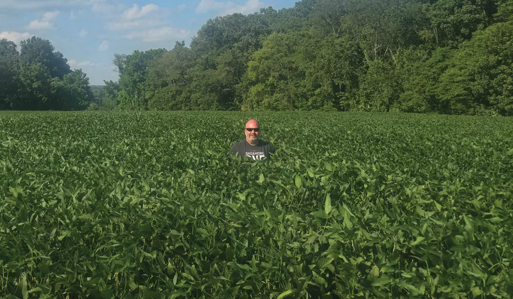 Chris-Weaver-Soybean-field.jpg