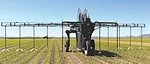 How-I-Save-768-Per-Acre-with-Strip-Till-Cover-Crops-360-rain.jpg
