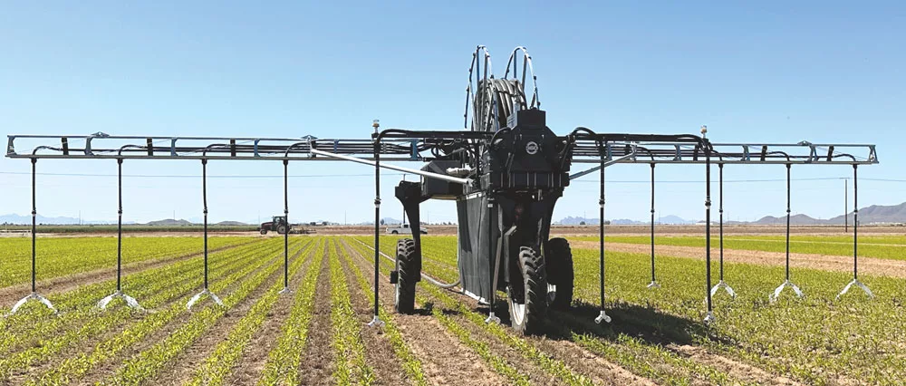 How-I-Save-768-Per-Acre-with-Strip-Till-Cover-Crops-360-rain.jpg