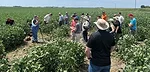 Monte-Bottens-field-research.jpg