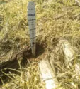 Check-seed-depth-during-planting.jpg