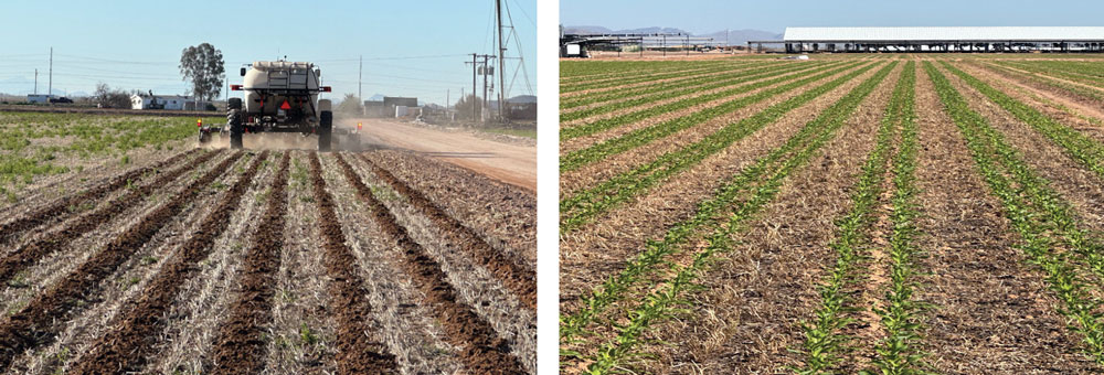 Robert-Boyle-the-2026-Strip-Till-Innovator-Award-recipient-2.jpg