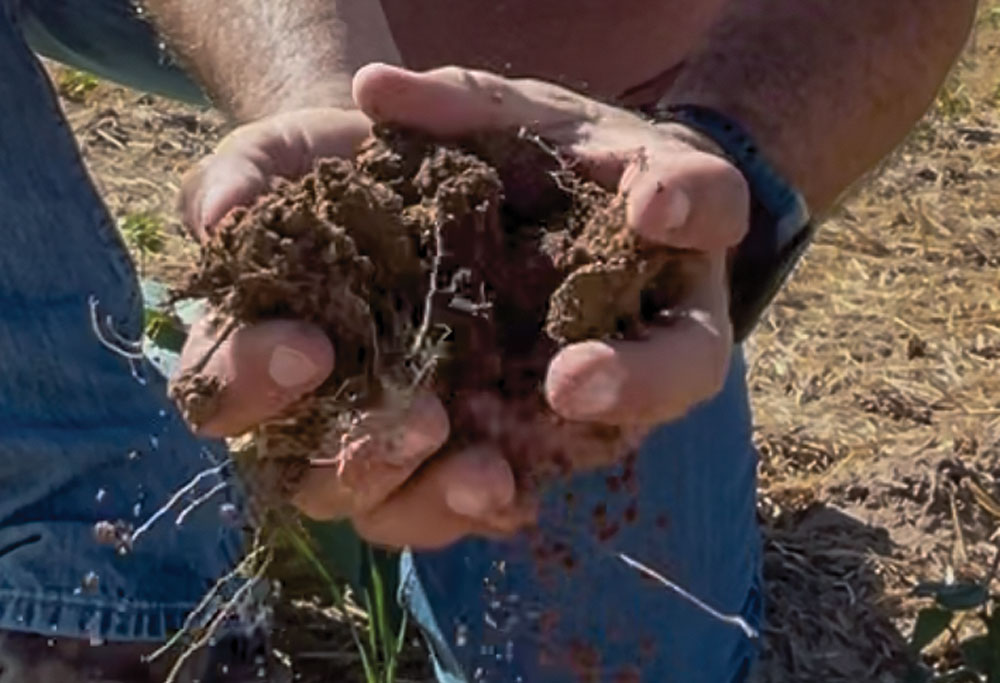 Robert-Boyle-the-2026-Strip-Till-Innovator-Award-recipient-3.jpg