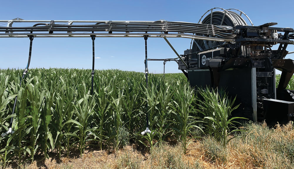 Robert-Boyle-the-2026-Strip-Till-Innovator-Award-recipient-7.jpg