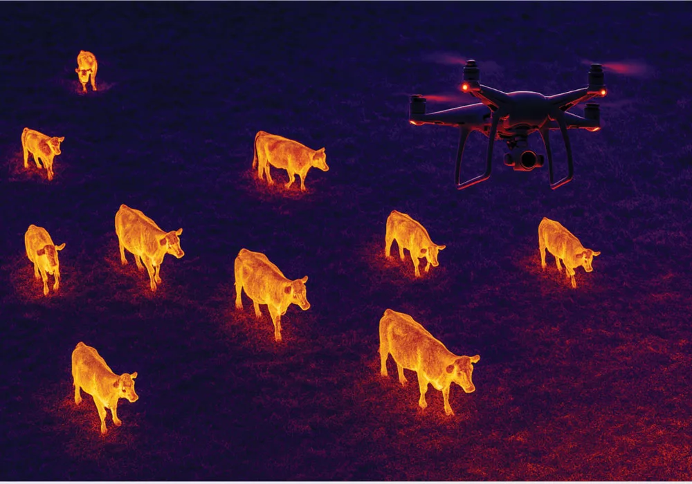 Drones Can Ease Transition to Livestock Integration-NGLCThermal.jpg