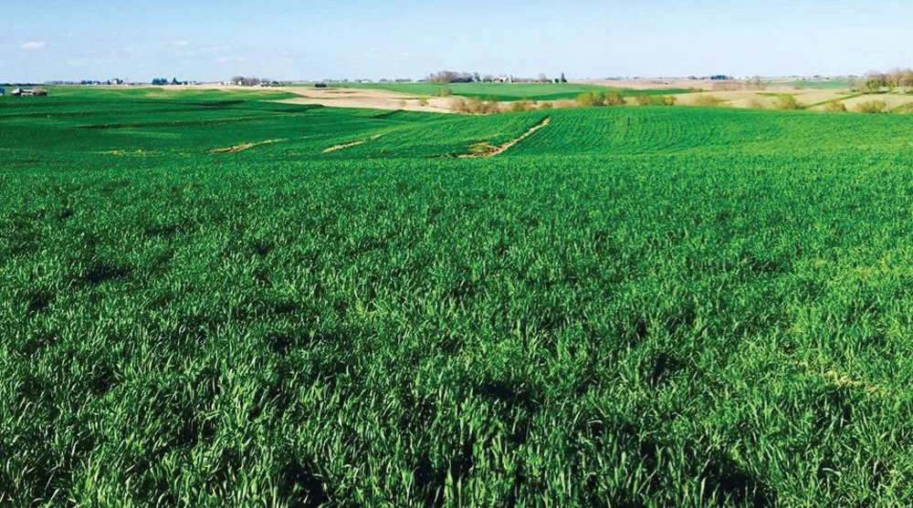 Iowa No-Tillers Find Forward Gear in Conservation Journey-1.jpg