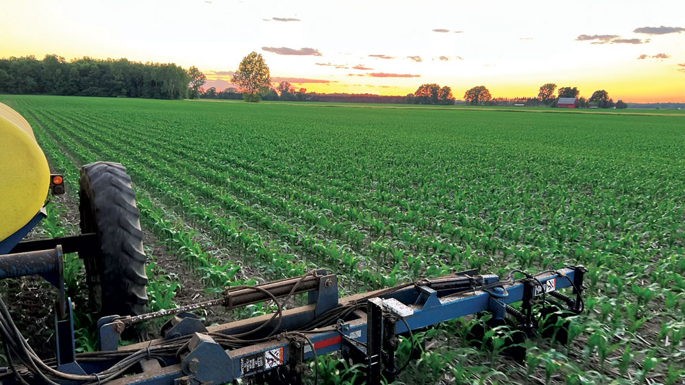 Solving a Farm Puzzle, 1 Piece at a Time