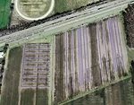 Eileen Kladivko-aerial photo overlain by drainage tile treatments.jpg
