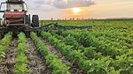 Tom-Cotter-interseeding-blended-cover-crops-1.jpg