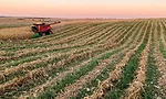 What-I've-Learned-from-No-Tilling-Joe-Breker-1.jpg