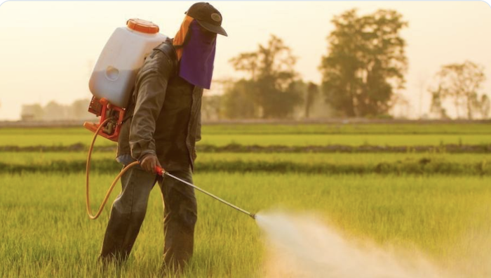 Spraying Insecticides
