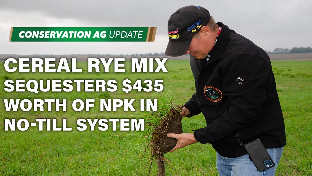Cereal Rye Mix Sequesters $435 Worth of NPK in No-Till System.jpg