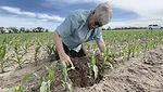 Strip-Till Innovator Provides #Plant25 Update.png
