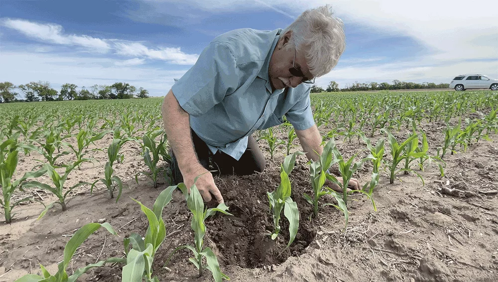 Strip-Till Innovator Provides #Plant25 Update.png