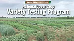 National-Cover-Crop-Variety-Testing-Program.png