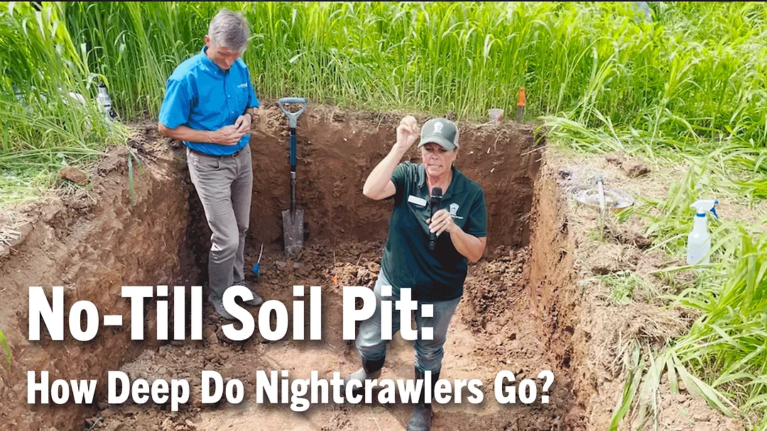 1.-No-Till-Soil-Pit--How-Deep-Do-Nightcrawlers-Go-.png
