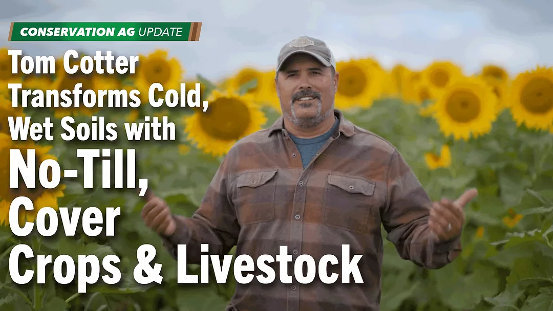 Tom-Cotter-Transforms-Cold,-Wet-Soils-with-No-Till,-Cover-Crops-&-Livestock.png