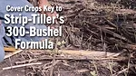 Cover-Crops-Key-to-Strip-Tiller’s-300-Bushel-Formula.png
