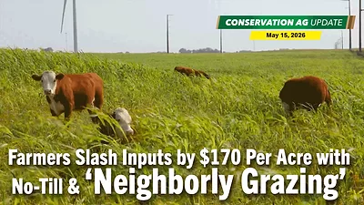 Farmers Slash Inputs by $170 Per Acre with No-Till & ‘Neighborly Grazing’