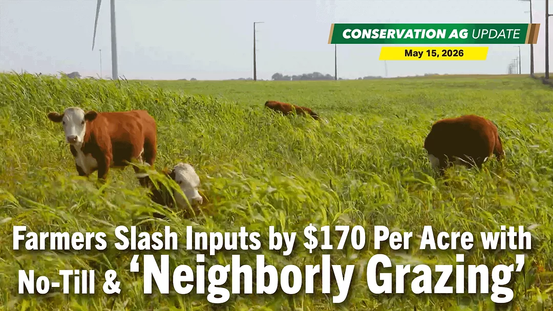 Farmers-Slash-Inputs-by-$170-Per-Acre-with-No-Till-&-‘Neighborly-Grazing’.png