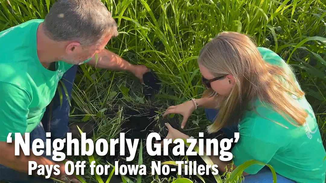 ‘Neighborly-Grazing’-Pays-Off-for-Iowa-No-Tillers.png