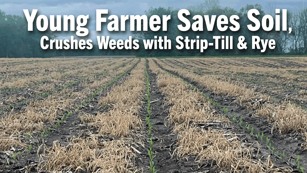 Young-Farmer-Saves-Soil,-Crushes-Weeds-with-Strip-Till-&-Rye.png