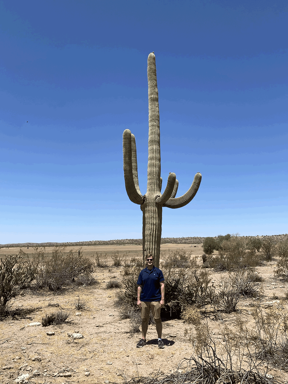 NOAH-CACTUS.png