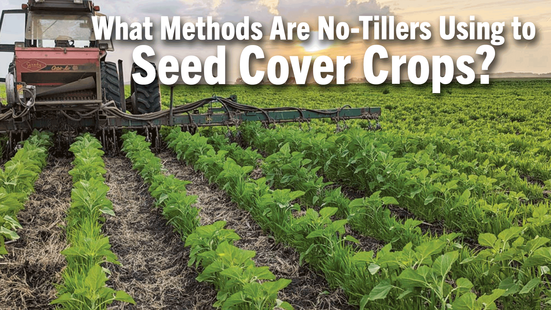 What Methods Are No-Tillers Using to Seed Cover Crops?