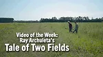 Video-of-the-Week--Ray-Archuleta’s-Tale-of-Two-Fields.png