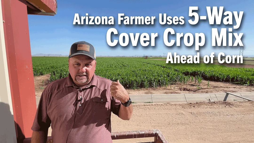 Arizona-Farmer-Uses-5-Way-Cover-Crop-Mix-Ahead-of-Corn.png