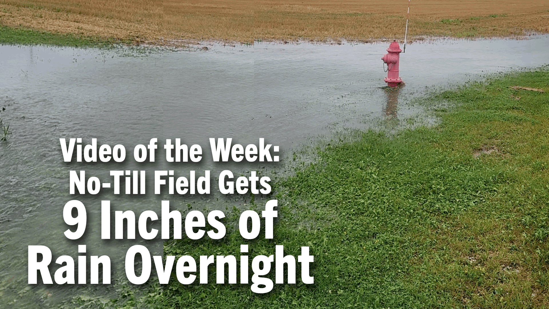 Video of the Week: No-Till Field Gets 9 Inches of Rain Overnight