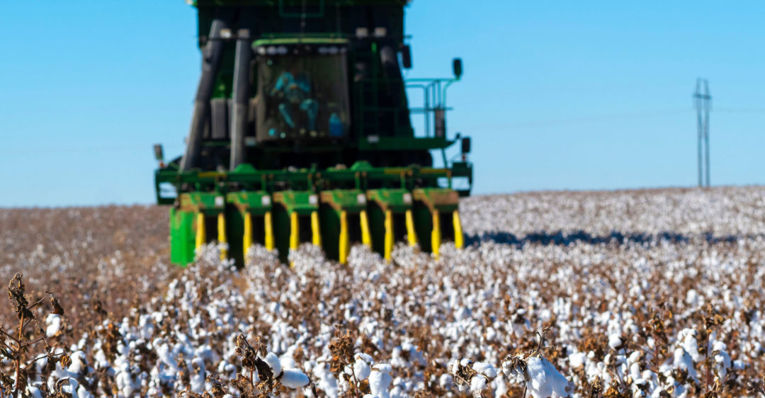 Oklahoma Cotton Harvester 2021