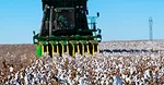 Oklahoma Cotton Harvester 2021