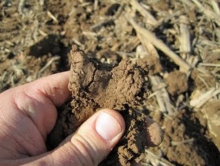 Soil not ready for planting