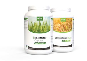 Rhizolizer® from Locus AG®– Endophytic Microbial Strains