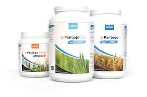 Pantego® from Locus AG® – Solubilizes Phosphorus