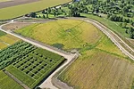 sdi irrigation