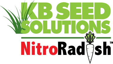 KBSEED