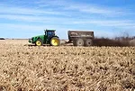Compost-2.jpg