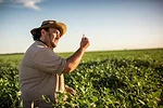 Syngenta Soybean Farmer
