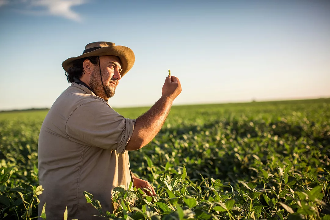 Syngenta Soybean Farmer