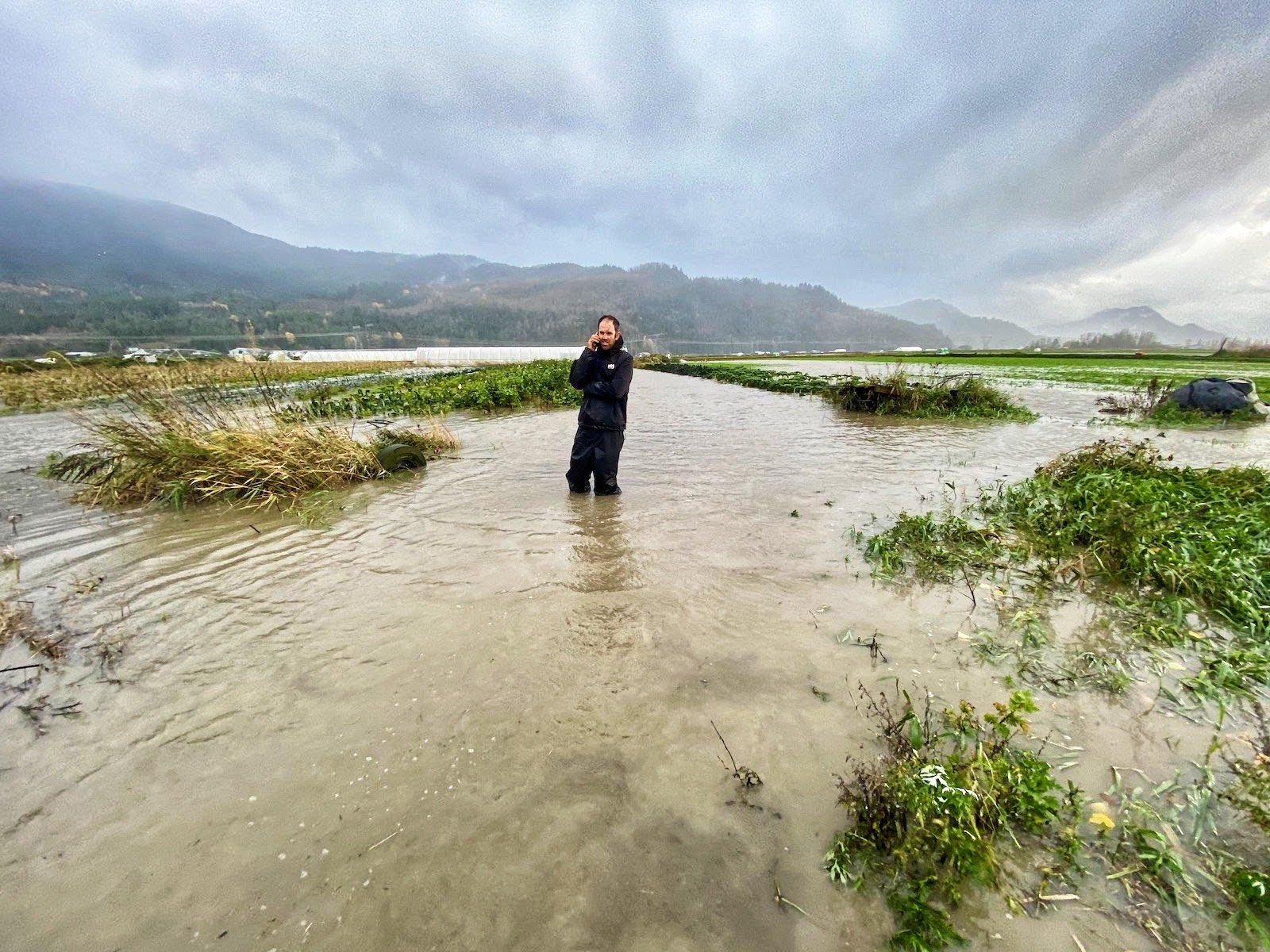 Travis-Forstbauer-Flooded-Cover-Crop-Field