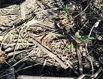 covers in residue