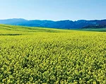 20140705_095706.jpg