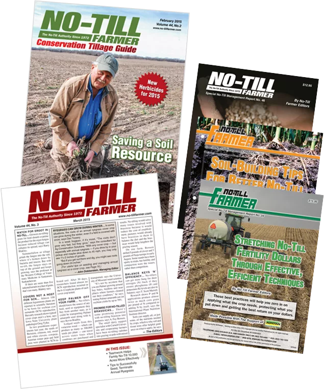 NTF Covers + 3 Reports