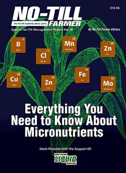 Everything You Need to Know About Micronutrients