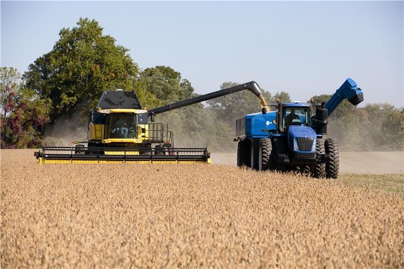 combining soybeans