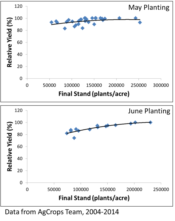 Soybean Planting Rate Chart