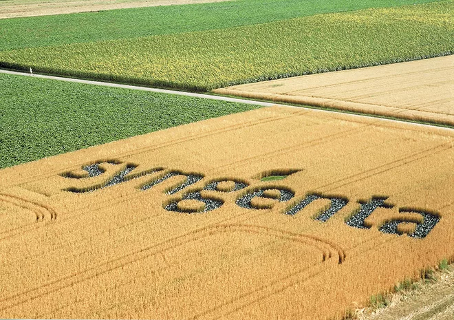 Syngenta